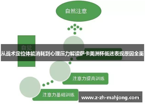 从战术定位体能消耗到心理压力解读萨卡美洲杯低迷表现原因全面
