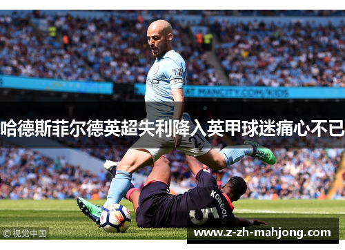 哈德斯菲尔德英超失利降入英甲球迷痛心不已 哈德斯菲尔德英超失利降入英甲球迷痛心不已