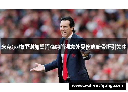 米克尔·梅里诺加盟阿森纳首训意外受伤肩膀骨折引关注 米克尔·梅里诺加盟阿森纳首训意外受伤肩膀骨折引关注